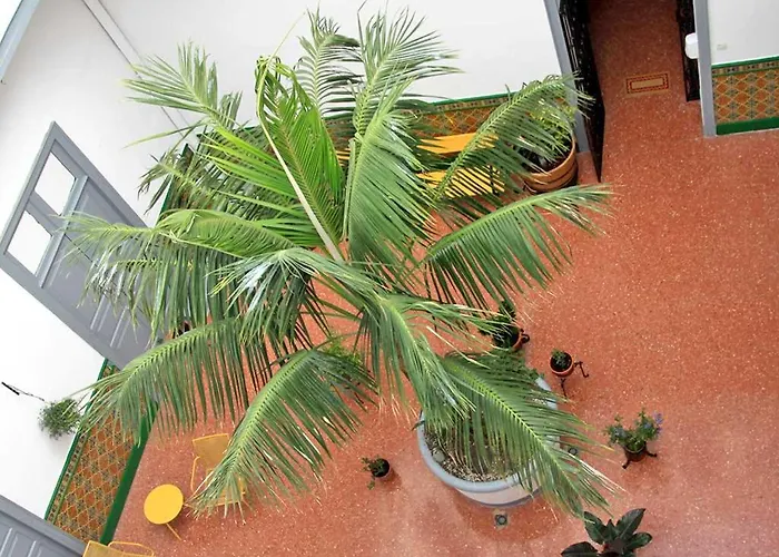 Coliving 1907 * 大加那利岛拉斯帕尔马斯